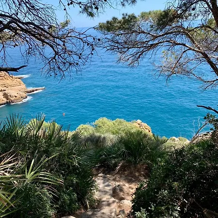 Apartment Casa Halcon *