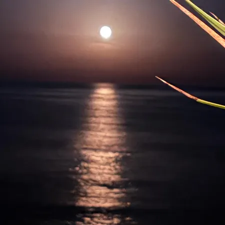 Casa Halcon Apartment Jávea